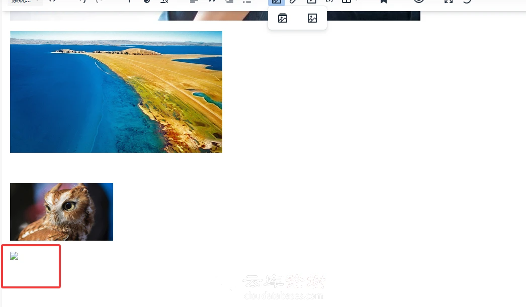 image.webp